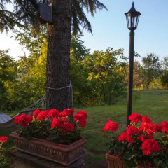Отель Bacialupo Bed&Breakfast Италия, Сан-Мартино-Сиккомарио - отзывы, цены и фото номеров - забронировать отель Bacialupo Bed&Breakfast онлайн фото 3