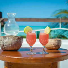 Отель Beachfront Hotel La Palapa - Adults Only Мексика, Остров Ольбокс - отзывы, цены и фото номеров - забронировать отель Beachfront Hotel La Palapa - Adults Only онлайн питание