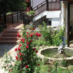 Oazis Family Hotel