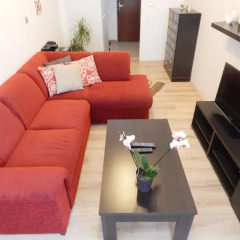 Отель Muna Apartments - Iris Чехия, Карловы Вары - отзывы, цены и фото номеров - забронировать отель Muna Apartments - Iris онлайн комната для гостей фото 3