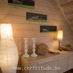 Отель Chalet Cerf'titude интерьер отеля