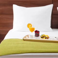 Гостиница Parklane Resort and Spa в Санкт-Петербурге - забронировать гостиницу Parklane Resort and Spa, цены и фото номеров Санкт-Петербург в номере