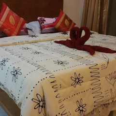 Отель Sunshine Guesthouse детские мероприятия фото 2