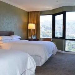 Отель Hilton Universal City 4* Студия фото 4