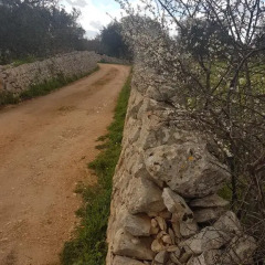 Отель I Trulli Di Nonno Giovanni Альберобелло пляж фото 2