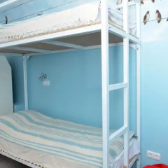 Eco Son Hotel & Hostel Кровать в женском общем номере с двухъярусной кроватью фото 6