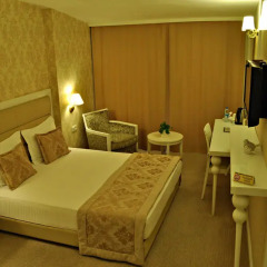 Hotel Edirne Palace 4* Стандартный номер фото 4