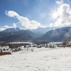 Отель udanypobyt Domy Mountain Premium Косцелиско