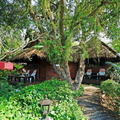 Отель Sunset Village Beach Resort фото 5