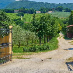Отель Casa del Glicine Сполето фото 4