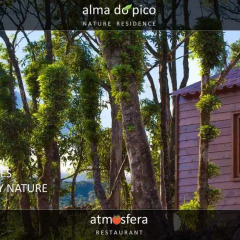 Отель Alma do Pico Португалия, Мадалена - отзывы, цены и фото номеров - забронировать отель Alma do Pico онлайн фото 9