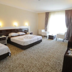 Hotel Germanicia 3* Стандартный номер с различными типами кроватей фото 3