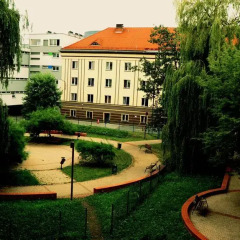 Отель Dizzy Daisy Hostel Польша, Вроцлав - отзывы, цены и фото номеров - забронировать отель Dizzy Daisy Hostel онлайн