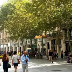 Отель May Ramblas Hotel Испания, Барселона - отзывы, цены и фото номеров - забронировать отель May Ramblas Hotel онлайн спортивное сооружение