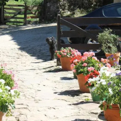 Отель Casona De Treviño фото 3