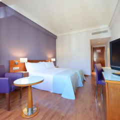 Hotel Madrid Centro, managed by Meliá 3* Стандартный номер с двуспальной кроватью