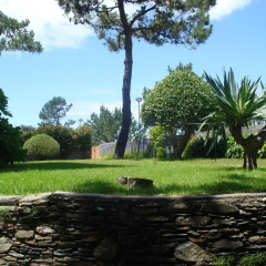 Отель Casa do Rio