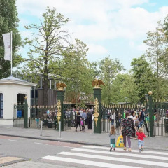 Отель Plancius Residence Нидерланды, Амстердам - отзывы, цены и фото номеров - забронировать отель Plancius Residence онлайн фото 2