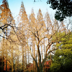 Liusu Youth Hostel фото 6
