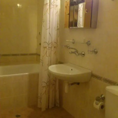Отель Yagodina Family Hotel Болгария, Чепеларе - отзывы, цены и фото номеров - забронировать отель Yagodina Family Hotel онлайн ванная фото 2