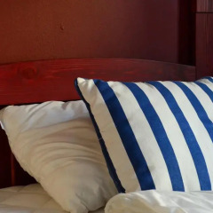 United Backpackers Hostel комната для гостей фото 4