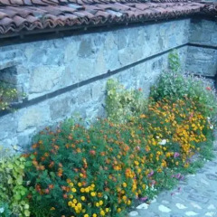 Отель Guest House Edelweiss бассейн