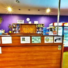 Nathans Villa Hostel Warsaw гостиничный бар
