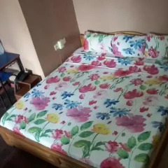 Samartine Hotel 2* Стандартный номер с различными типами кроватей фото 4