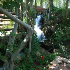Отель El Molino De Iramala Патерна-дель-Мадера фото 9