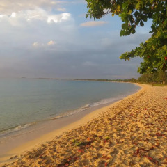 Отель A Piece of Paradise Montego Bay Ямайка, Монтего-Бей - отзывы, цены и фото номеров - забронировать отель A Piece of Paradise Montego Bay онлайн пляж фото 2
