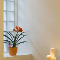 Avenue Hotel 4* Полулюкс с различными типами кроватей фото 10