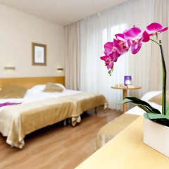 Hotel Victoria 4 комната для гостей фото 5
