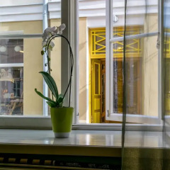 Отель Pikk 49 Residence Эстония, Таллин - отзывы, цены и фото номеров - забронировать отель Pikk 49 Residence онлайн питание