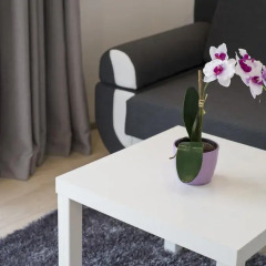 Отель Apartamenty Comfort & Spa Stara Polana Апартаменты фото 12
