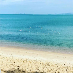 Amarin Samui Hotel пляж