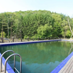 Отель Hugel Heim Pension Южная Корея, Пхёнчан - отзывы, цены и фото номеров - забронировать отель Hugel Heim Pension онлайн бассейн фото 2