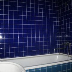 Гостиница Buymerivka Pine Spa-Resort Улучшенное бунгало
