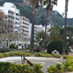 Отель Apartamentos Blanes Испания, Бланес - отзывы, цены и фото номеров - забронировать отель Apartamentos Blanes онлайн фото 2