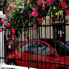 Отель Art Studios Elsor Болгария, Бургас - отзывы, цены и фото номеров - забронировать отель Art Studios Elsor онлайн фото 5