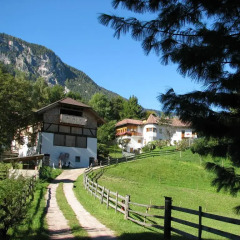 Отель Tinnerhof Аппиано-сулла-Страда-дель-Вино приотельная территория фото 2