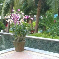 Отель Diamond Suite 2BR Apt in Thappraya Паттайя фото 2
