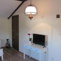 Отель Guest House Villa Elma Болгария, Шумен - отзывы, цены и фото номеров - забронировать отель Guest House Villa Elma онлайн удобства в номере фото 2