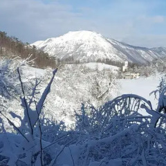 Отель Tourist Farm Lojtrnik 3* Апартаменты с различными типами кроватей фото 40