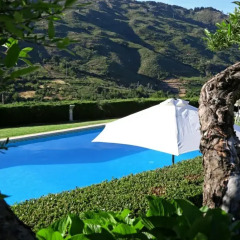 Отель Quinta Da Timpeira фото 8
