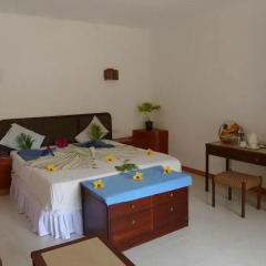 Отель Bougain Villa 3* Стандартный номер с различными типами кроватей фото 6
