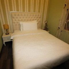 Hotel Vila Zeus 3* Стандартный номер с различными типами кроватей фото 3