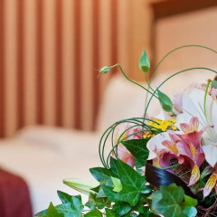 Best Western Plus Bristol Hotel 4* Номер Делюкс с различными типами кроватей фото 4
