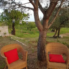Отель I Trulli Di Nonno Giovanni Альберобелло фото 7