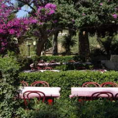 Отель Fonda Las Palmeras