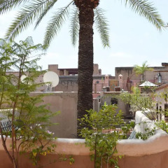 Отель Riad Palmier Марокко, Марракеш - отзывы, цены и фото номеров - забронировать отель Riad Palmier онлайн фото 4